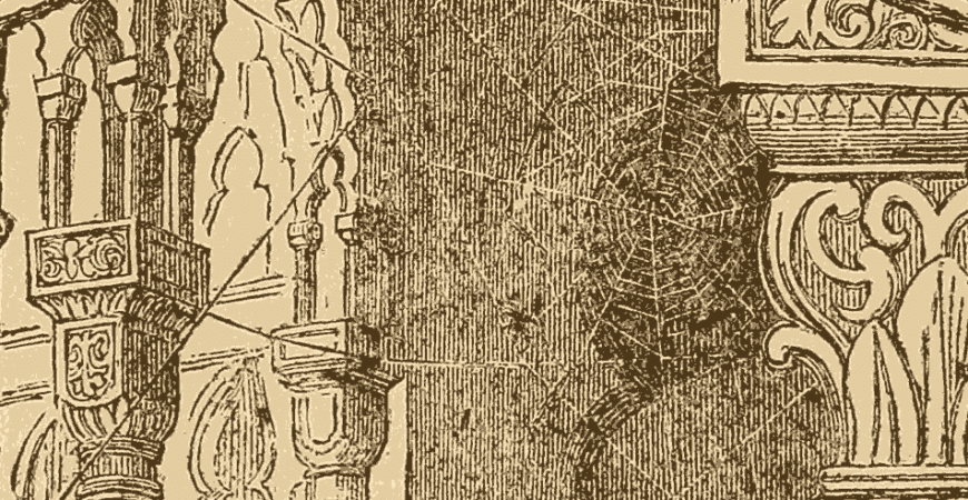 Columns